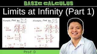 FINDING THE LIMITS AT INFINITY  PART 1  PROF D [upl. by O'Dell]