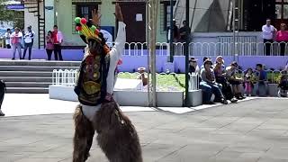 Danza tipica en la mitad del mundo quotEl Diablo Humaquot [upl. by Josephina367]