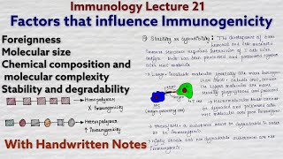 Immunogenicity  Factors that influence immunogenicity  Immunology lecture 21 [upl. by Assiralc]