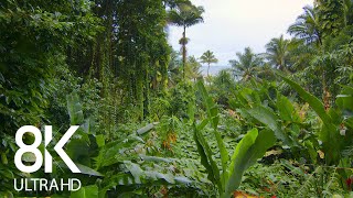 Incredible Jungle Sounds 8K  Exotic Birds Singing in Tropical Rainforest 8 HOURS  Part 1 [upl. by Theadora973]