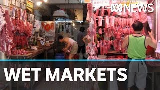 Global concerns about wet markets reopening in China  ABC News [upl. by Llezo712]