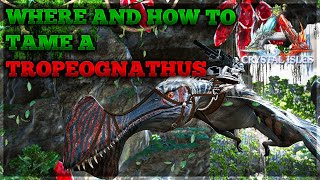 Ark  Where and how to tame Tropeognathus [upl. by Erdda]