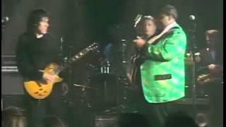 Gary Moore amp BB King  Live Blues [upl. by Lenni963]