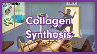 Collagen Synthesis USMLE Mnemonic Preview [upl. by Philpot]