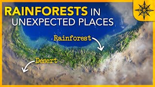 Why We Find Rainforests in Unexpected Places [upl. by Blas744]