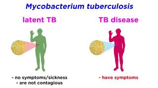 MultidrugResistant Tuberculosis MDRTB Mycobacterium tuberculosis [upl. by Alecram]