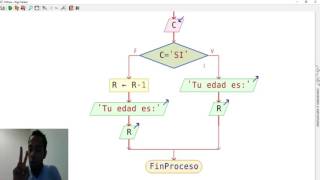 PSEINT Diagrama de flujo y Pseudocódigo que determina tu edad [upl. by Nichani14]