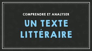 COMPRENDRE ET ANALYSER UN TEXTE [upl. by Nyladam130]