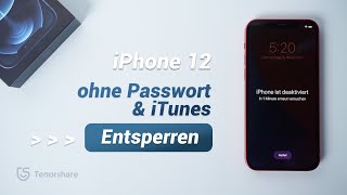 iPhone 12 ohne Passwort amp iTunes Entsperren 2025 [upl. by Ahsenroc948]