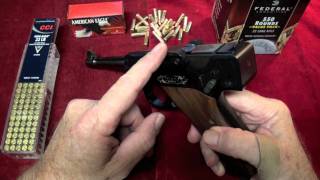 Luger 22LR Pistol By Stoeger Arms quotReview amp Shootingquot [upl. by Aitam]