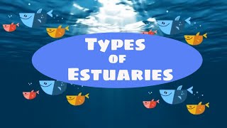 Types of estuaries [upl. by Sylvie492]