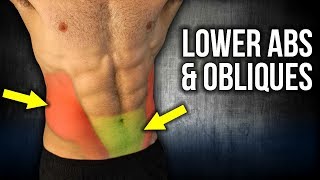 4min Home LOWER ABS and OBLIQUES Workouts NO EQUIPMENT [upl. by Mcconaghy798]