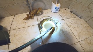 Sewer Drain Clog  Drain Pros Ep 29 [upl. by Nissy163]