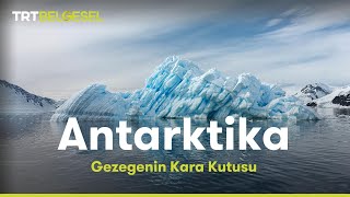 Gezegenin Kara Kutusu Antarktika  TRT Belgesel [upl. by China]