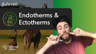 Endotherms amp Ectotherms  A Level Biology  OCR [upl. by Nevaed]