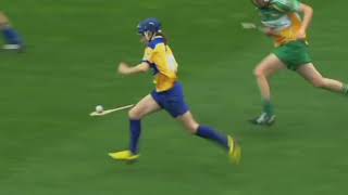 Hurling [upl. by Accever]