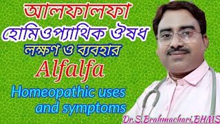 Alfalfa benefits  alfalfa Q  alfalfa homeopathic medicine uses in bengali language [upl. by Ornas]