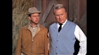 Green Acres  The Moo Activated Barn Door amp Mr Douglas TV Show [upl. by Landy]