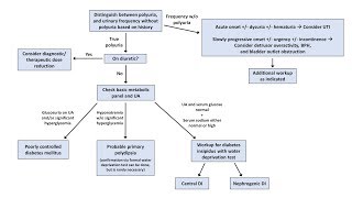 An Approach to Polyuria [upl. by Delanie]