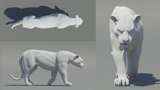 Creature animation study Tiger walk and run cycles [upl. by Kcid]