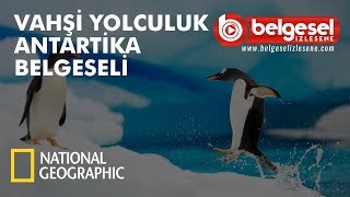 Vahşi Yolculuk Antarktika Belgeseli  Türkçe Dublaj [upl. by Rambow]