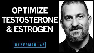 TESTOSTERONE How To Increase Testosterone amp Its Effects Naturally Boost Low Levels [upl. by Hannahs251]