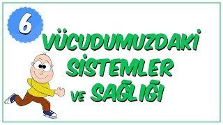 6Sınıf Fen Bilimleri  Vücudumuzdaki Sistemler ve Sağlığı [upl. by Riocard]