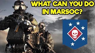 WHAT ARE THE DIFFERENT JOBS OF MARINE RAIDERS MARSOC [upl. by Martres]