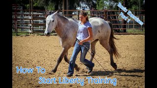 How To Start Liberty Training With Your Horse Basic Exercises Part 1 [upl. by Baxter63]