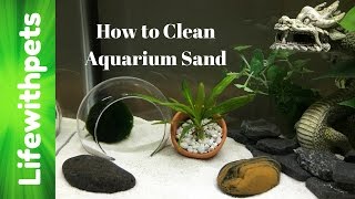 How to Clean Aquarium Sand [upl. by Leahcimnaj259]