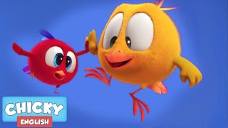 Wheres Chicky  CHICKYS LITTLE FRIEND  Chicky Cartoon in English for Kids [upl. by Aneloaup]