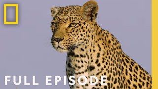 The Flood Full Episode  SPECIAL [upl. by Fredericka620]