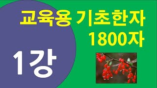 기초한자 1800자 제1강 [upl. by Iew]