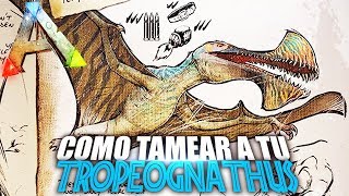 COMO TAMEAR A TU TROPEOGNATHUS  Guia Español  Ark Survival Evolved [upl. by Guidotti245]