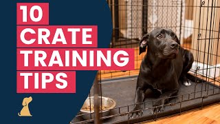 Crate Training Tips  10 Hacks To Help Your New Puppy Love The Crate [upl. by Uon]