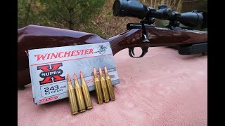 243 Handloads vs 243 Factory Ammo [upl. by Errehs]