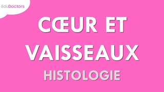 Le métier de cardiologue en clinique SSR Korian [upl. by Yud]