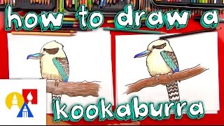 How To Draw A Kookaburra [upl. by Rahm]