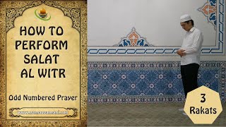 How to perform The Three Rakat Salat alWitr Odd Numbered Prayer [upl. by Selena603]