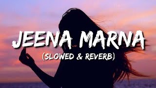 Jeena Marna Lyrics  Slowed amp Reverb [upl. by Nawk219]