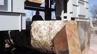 WM1000 Industrial Sawmill in Action  WoodMizer [upl. by Inaniel282]