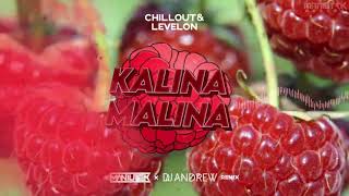 Chillout amp Levelon  Kalina Malina Maniutek x Dj Andrew Remix [upl. by Pinette]