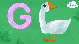 Learn the Letter G  Alphabet for Kids  Kids Academy [upl. by Inatirb]