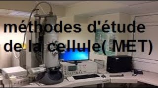 cytologie méthodes détude de la cellule microscopes électroniques MET [upl. by Anilra]