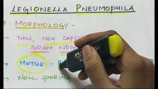 Legionella pneumophila  Microbiology  Handwritten notes [upl. by Normie939]