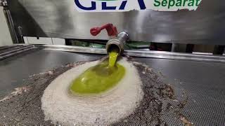 How Olive Oil is Made  Traditional Greek Extra Virgin Olive Oil Extraction Cold Press  Kalamata [upl. by Ortrude]