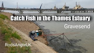 Catch Fish in the Thames Estuary GRAVESEND [upl. by Norry109]