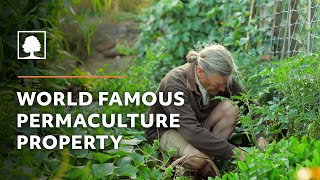 World Famous Permaculture Property Tour – David Holmgren and Su Dennetts Melliodora [upl. by Atinrahs]