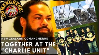 Comanchero New Zealand in Auckland Prison [upl. by Hadlee]