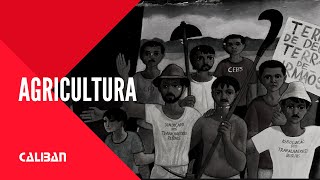 FILME  Agricultura Tamanho Família 2014 [upl. by Seiber]